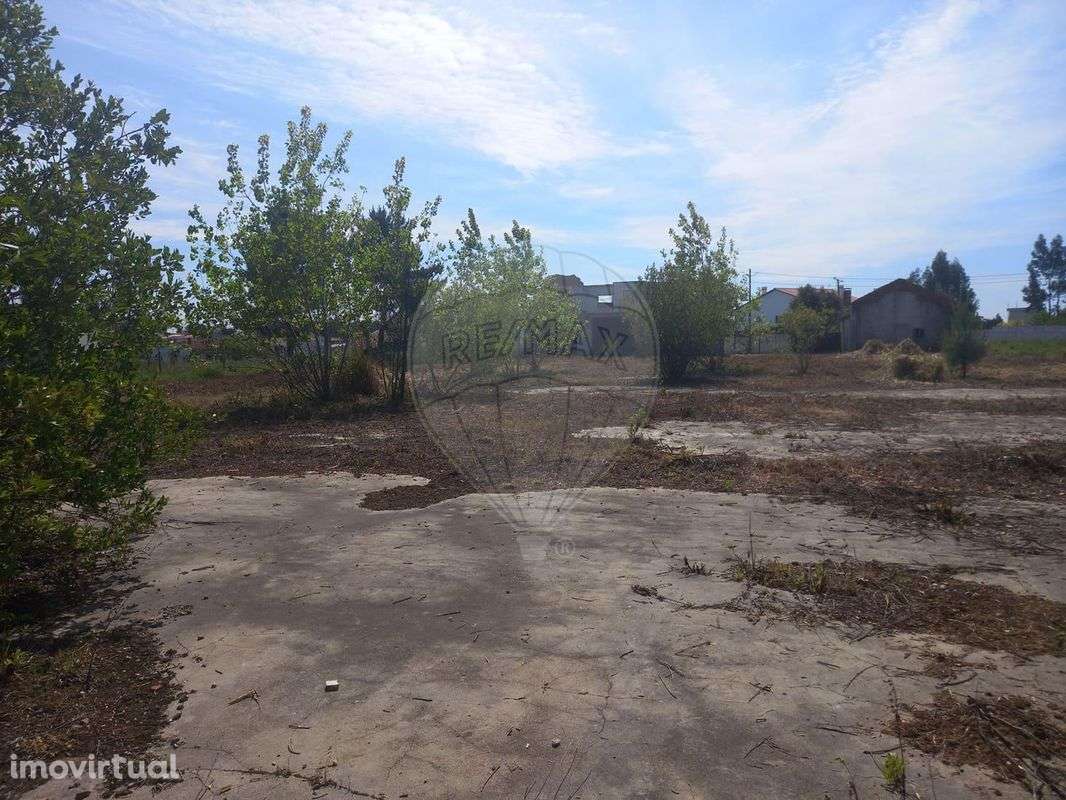 Terreno  para venda - Grande imagem: 5/6