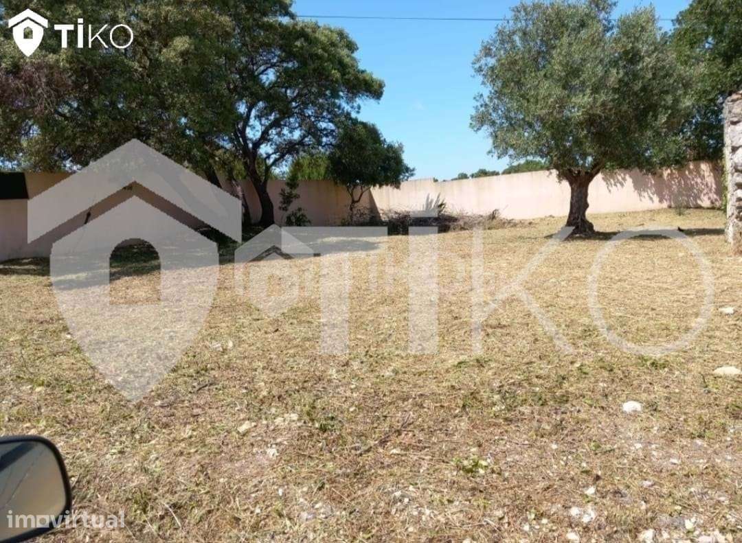TERRENO 100% URBANO EM TORRES NOVAS - Grande imagem: 5/29