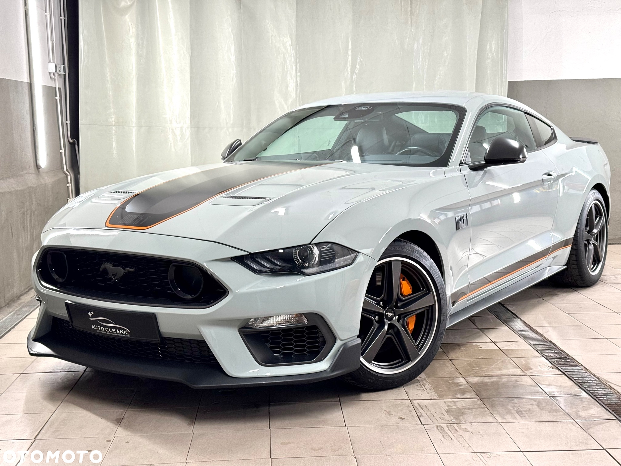 Ford Mustang 5.0 V8 Mach 1 - 9
