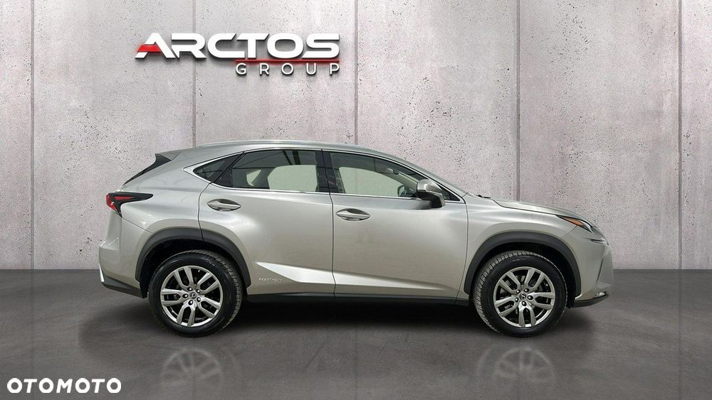 Lexus NX - 6