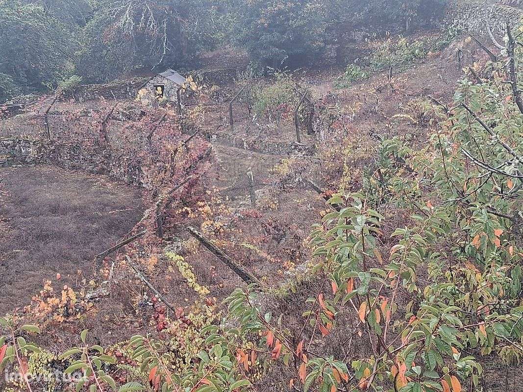 Terreno  para venda - Grande imagem: 3/8