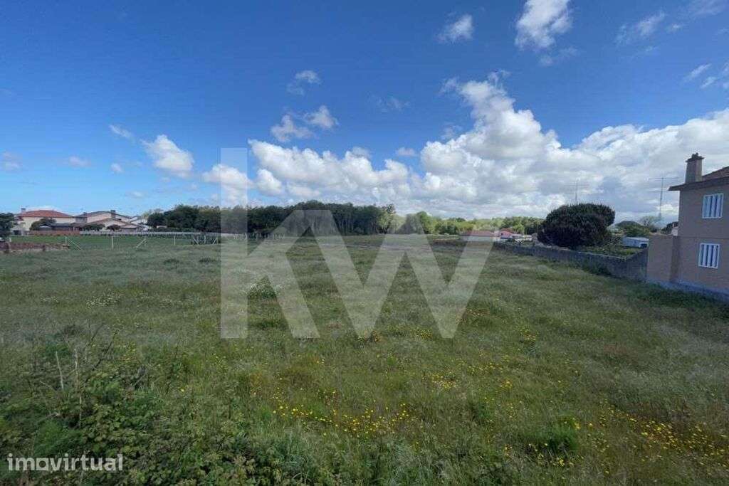 **TERRENO DE 5.050 M² NA MURTOSA COM ÁREA DE CONSTRUÇÃO DELIMITADA** - Grande imagem: 2/13