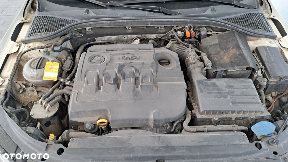 Skoda Octavia 1.6 TDI 4x4 Elegance - 18