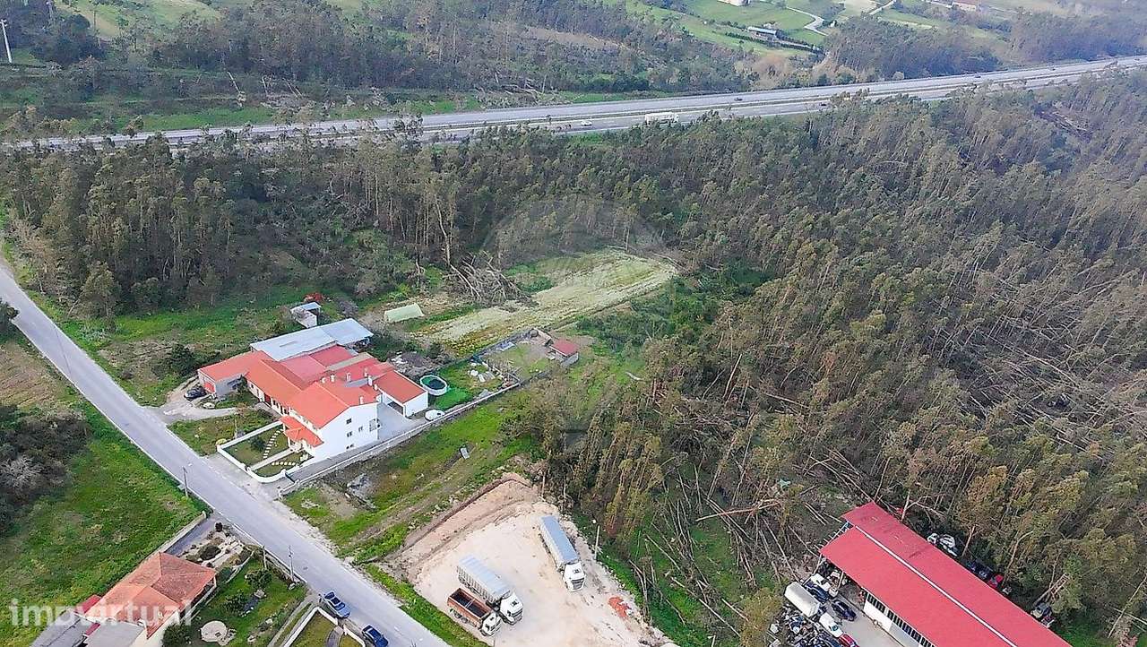 Terreno  para venda - Grande imagem: 3/10
