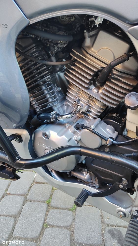 Honda Transalp - 8