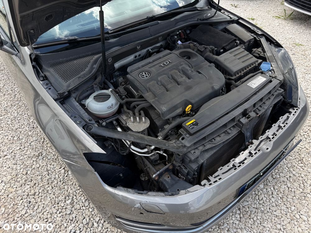Volkswagen Golf - 24