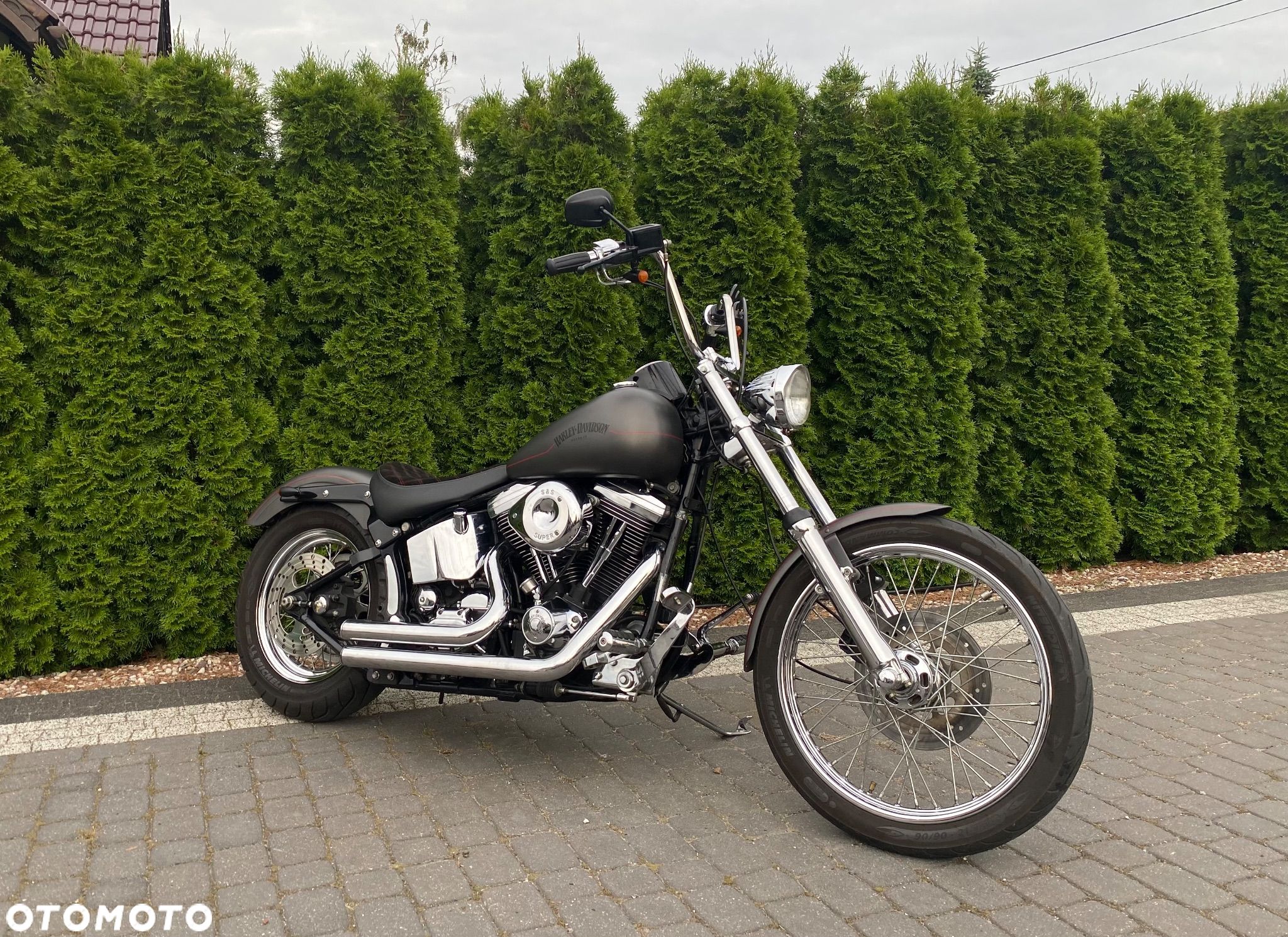 Harley-Davidson Softail Custom - 1