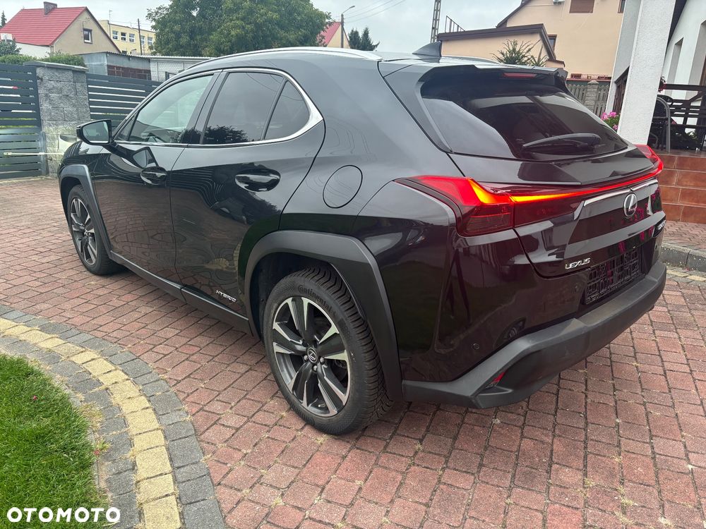 Lexus UX - 27
