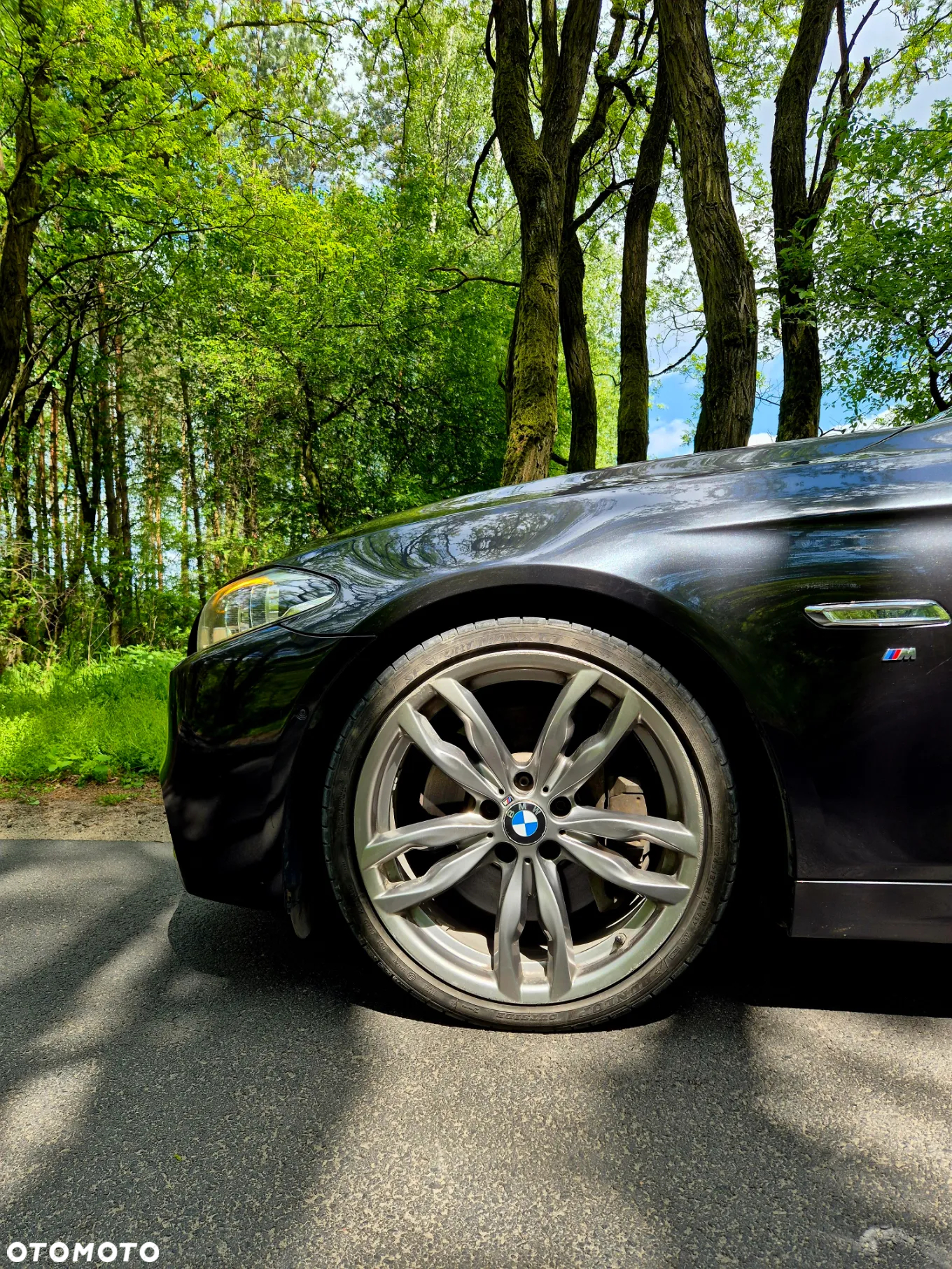 BMW Seria 5 M550d xDrive - 16