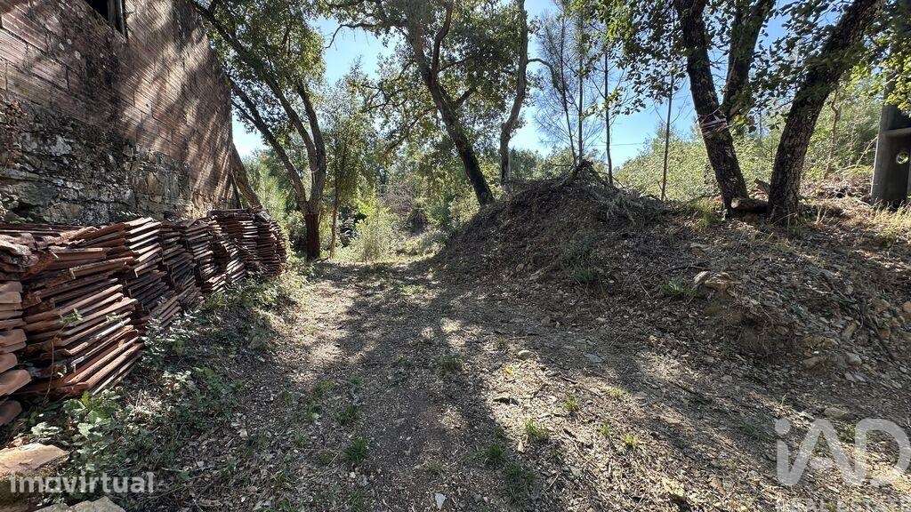 Terreno Agrícola em Graça - Grande imagem: 3/16