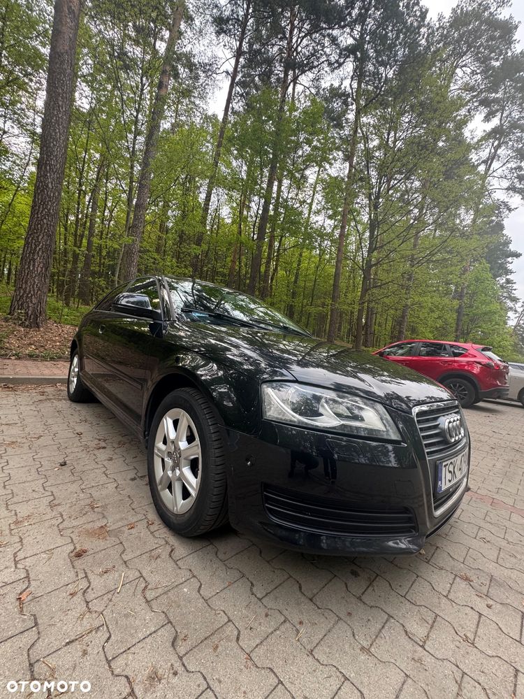 Audi A3 3-drzwiowe 1.6 TDI DPF Attraction - 24