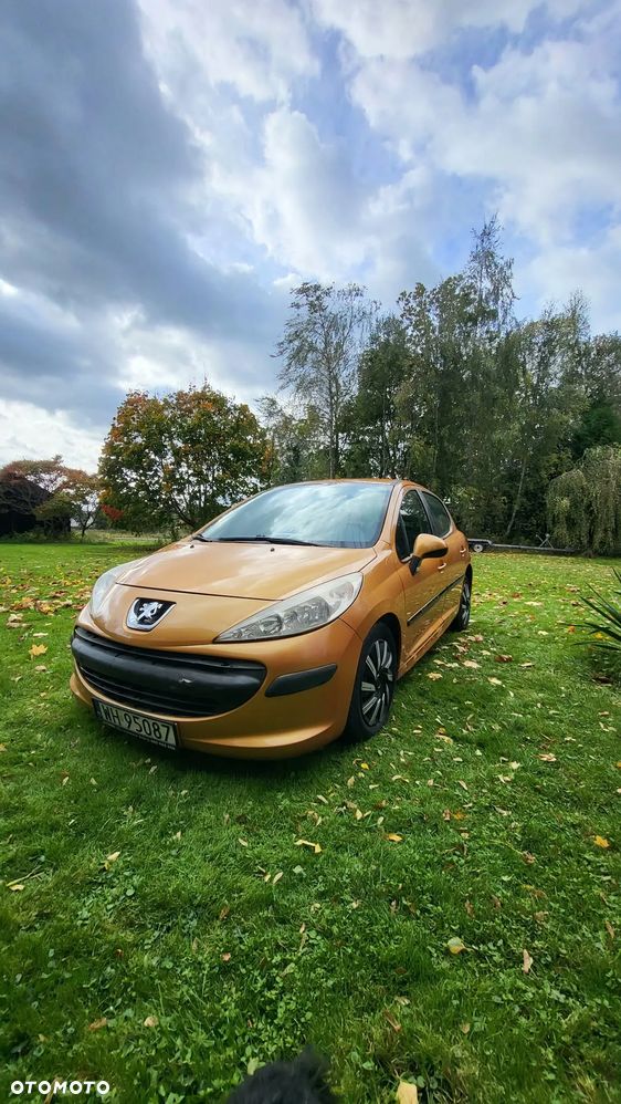 Peugeot 207 - 21