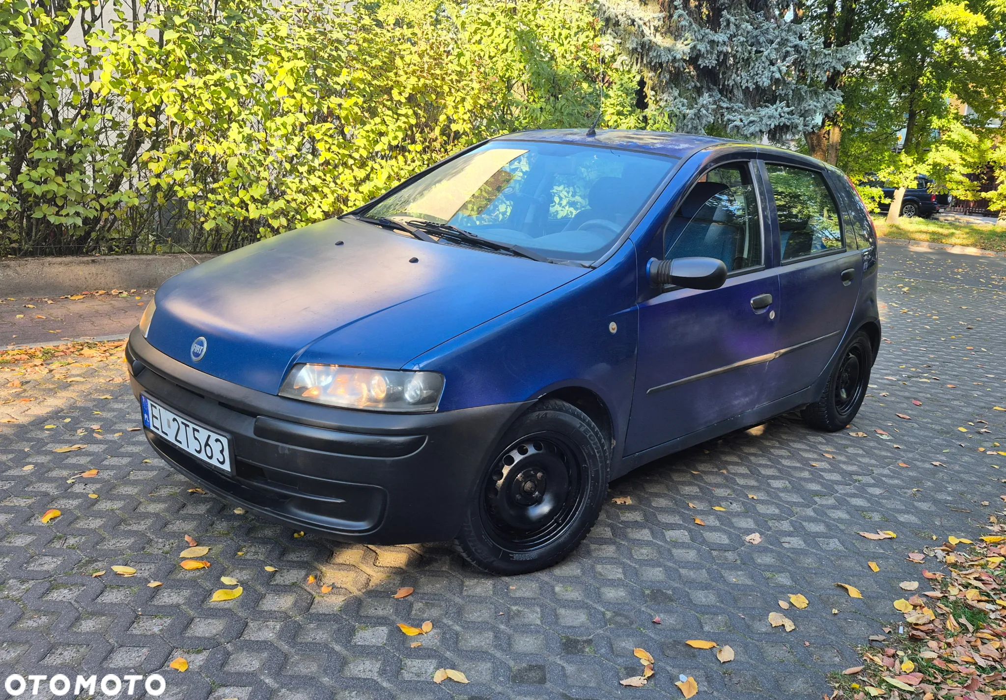 Fiat Punto 1.2 8V Fresh - 1