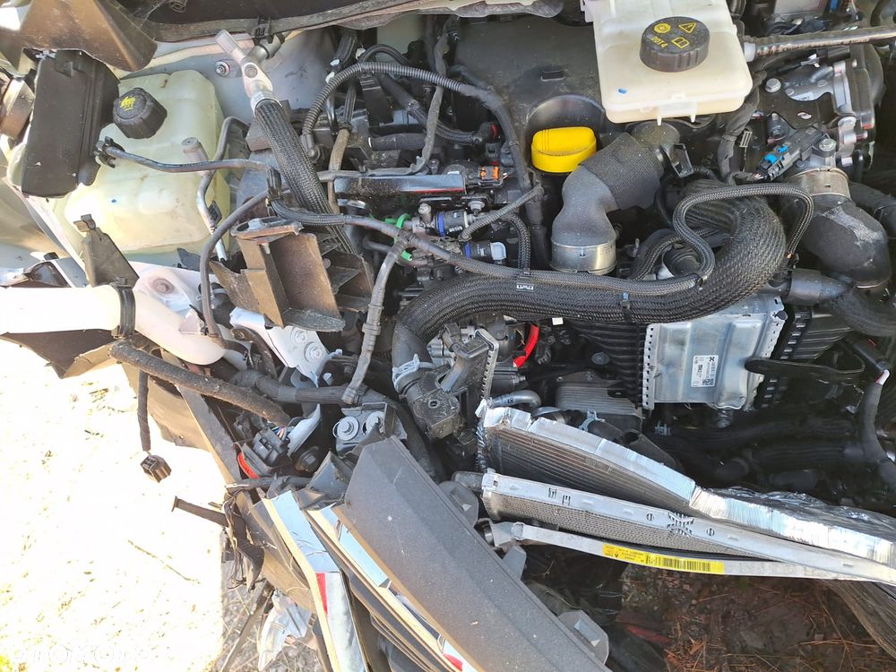 Renault Kangoo - 19