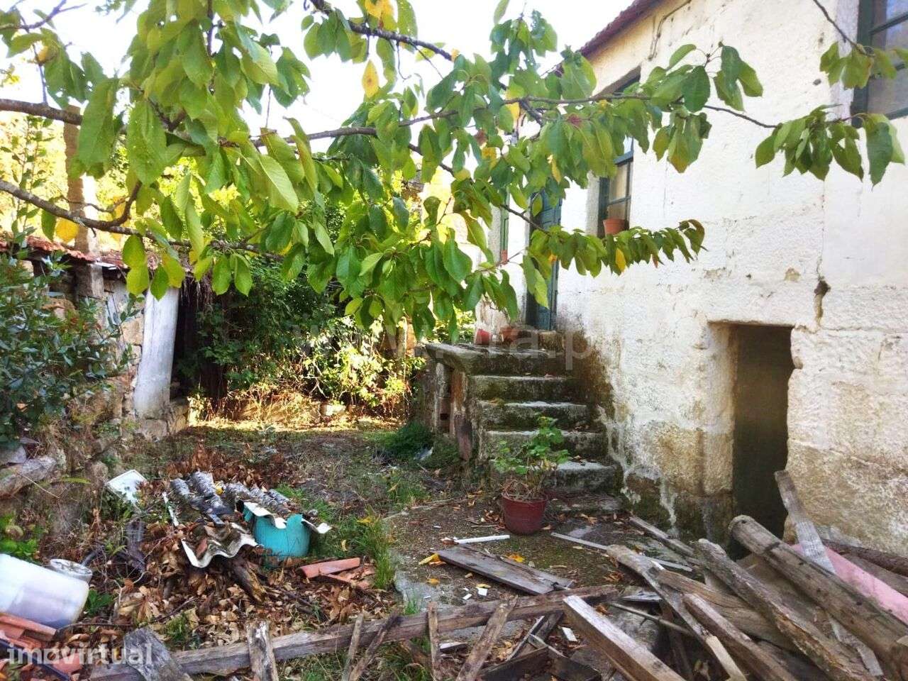 Quintinha / Cinfães, São Cristóvão de Nogueira - Grande imagem: 5/14
