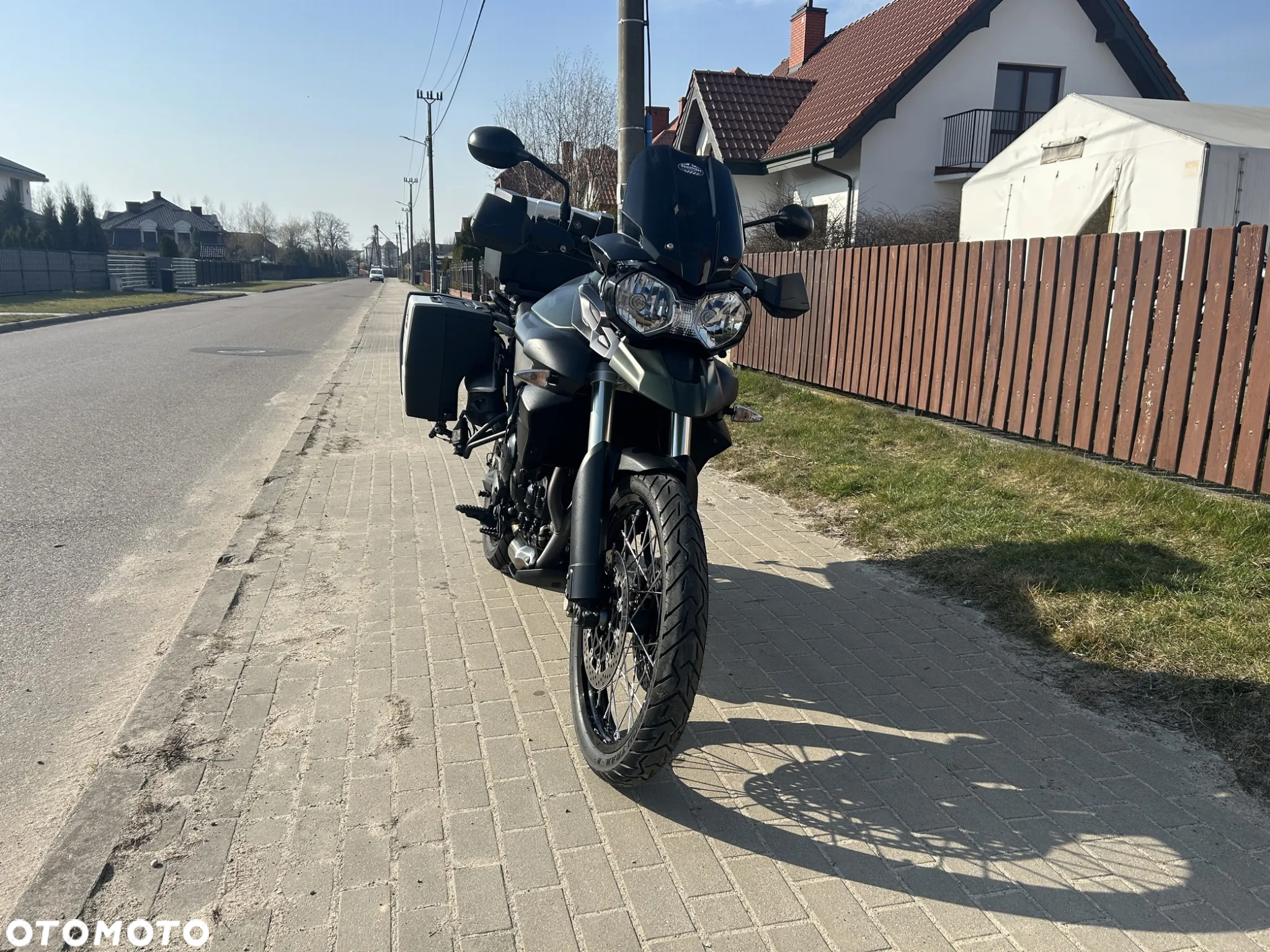 Triumph Tiger - 17