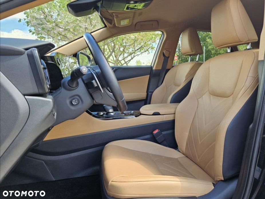 Lexus NX - 10