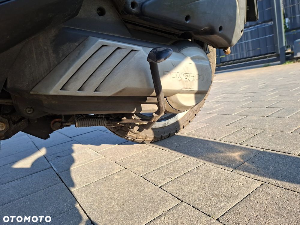 Peugeot Satelis - 20