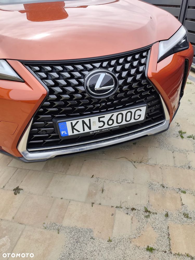 Lexus UX 200 GPF Business 2WD - 6