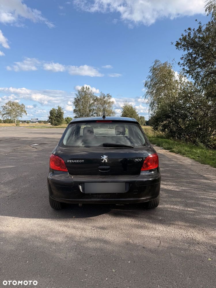 Peugeot 307 1.6 - 7