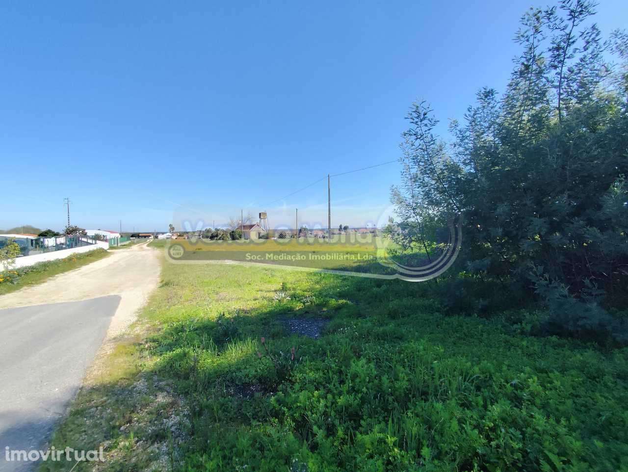 Terreno em Várzea Fresca -  Foros de Salvaterra (F833) - Grande imagem: 5/8