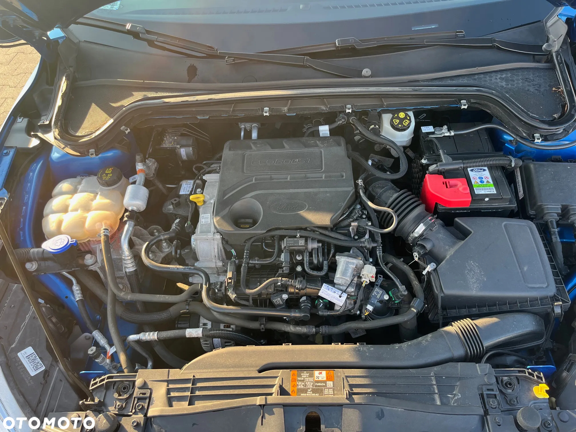 Ford Focus - 20