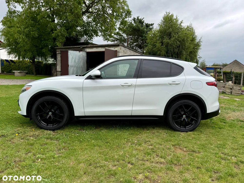 Alfa Romeo Stelvio 2.0 Turbo Veloce TI Q4 - 3