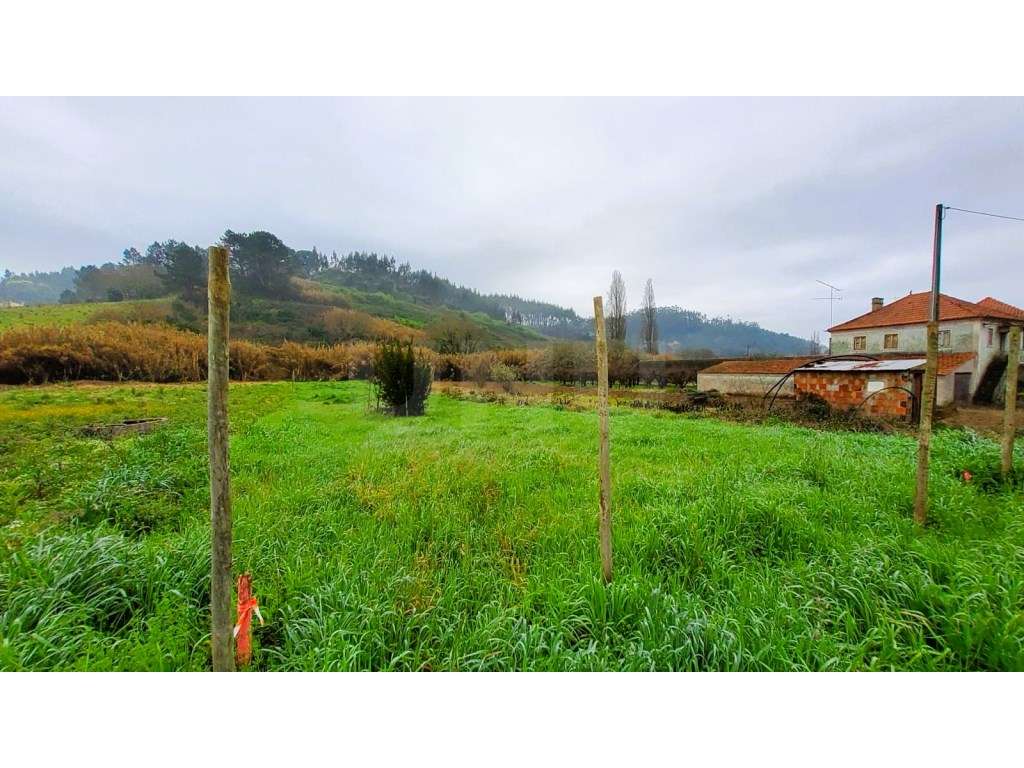 Terreno para construção em Salir de Matos, Caldas da Rainha. - Grande imagem: 5/9