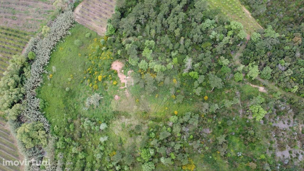 Terreno  para venda - Grande imagem: 2/16