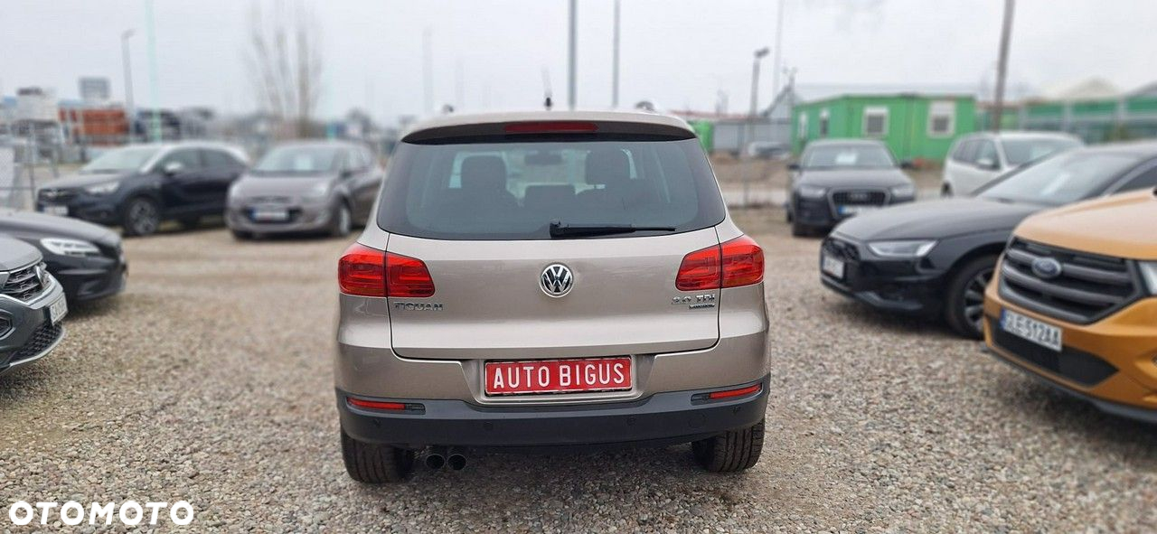 Volkswagen Tiguan - 6