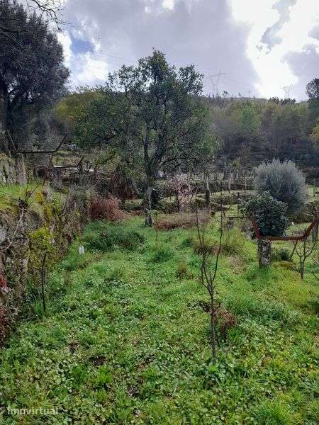 Vendono lindas vista 20000 euros - Grande imagem: 4/7