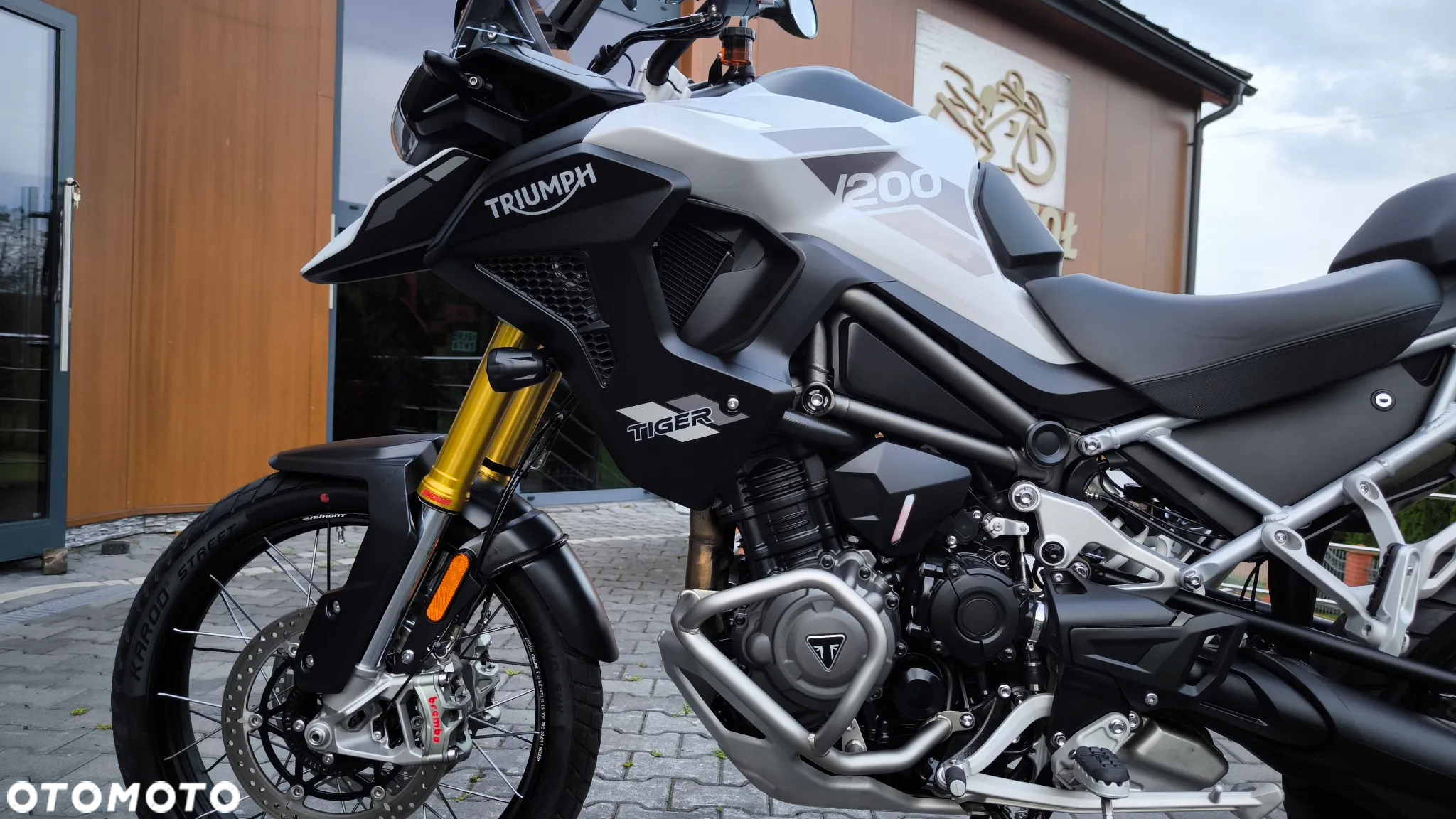 Triumph Tiger - 14