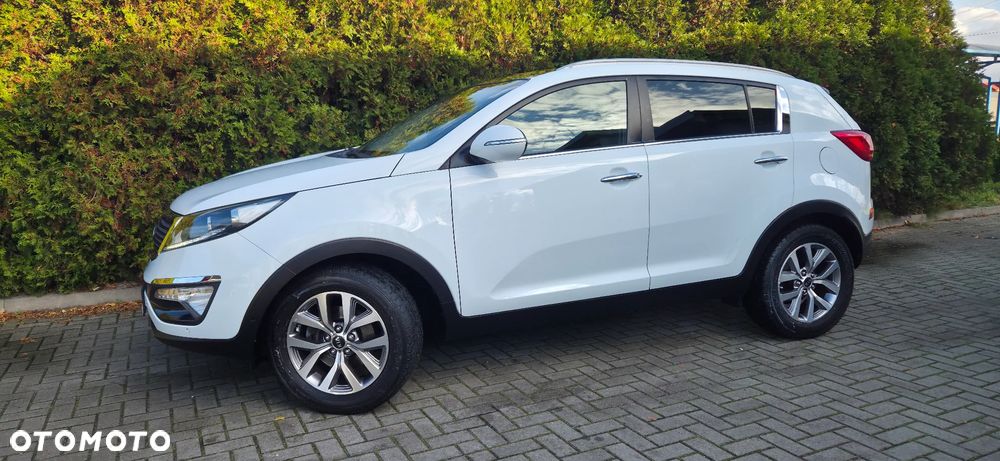 Kia Sportage 1.6 GDI Business Line M 2WD - 5