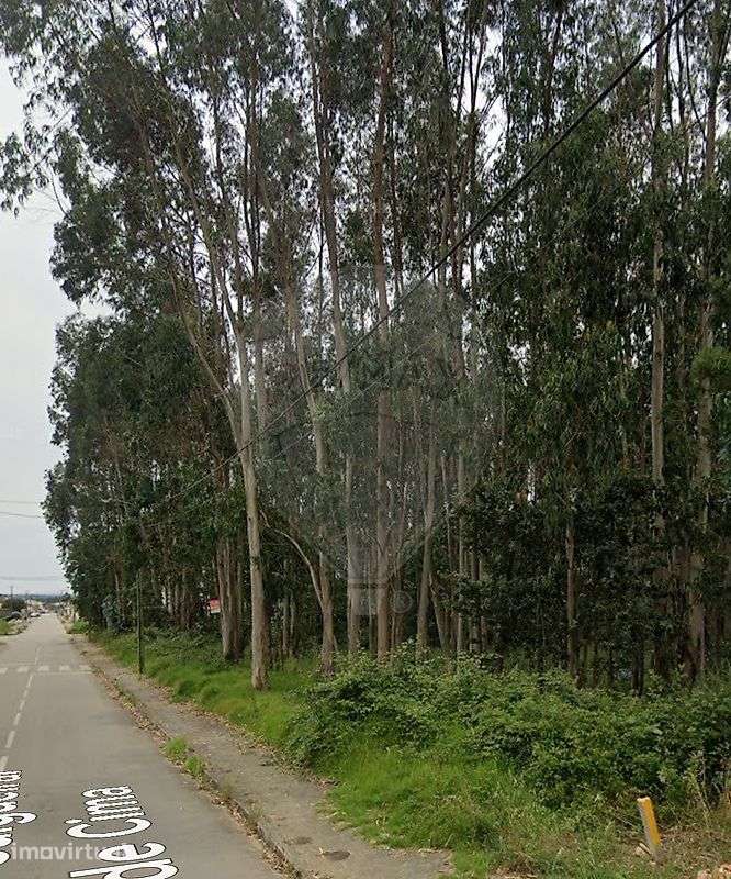 Terreno  para venda - Grande imagem: 5/5