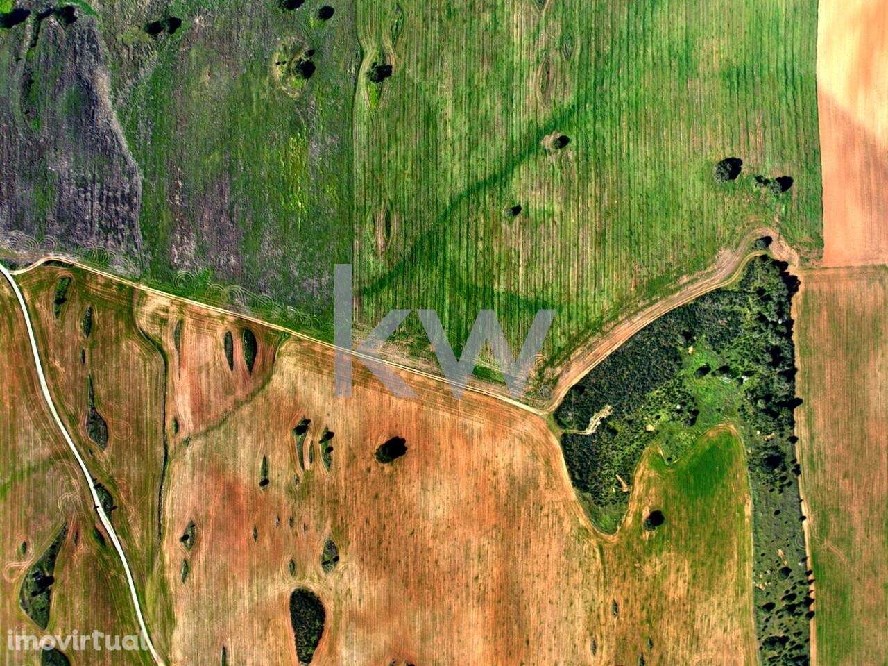 Oportunidade Exclusiva no Coração do Alentejo: Terreno com Potencial A - Grande imagem: 3/24