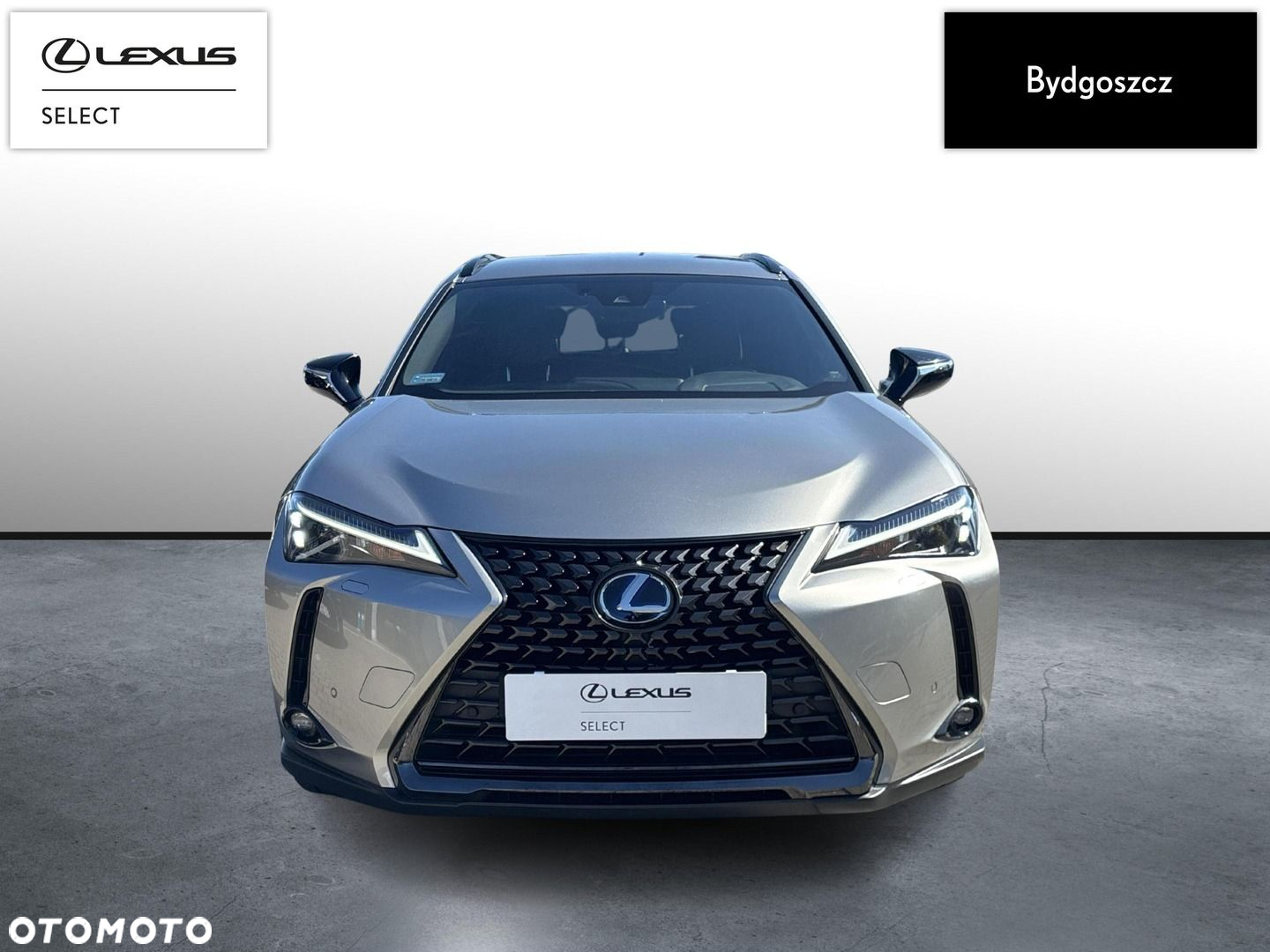 Lexus UX 250h GPF F Impression 2WD - 2