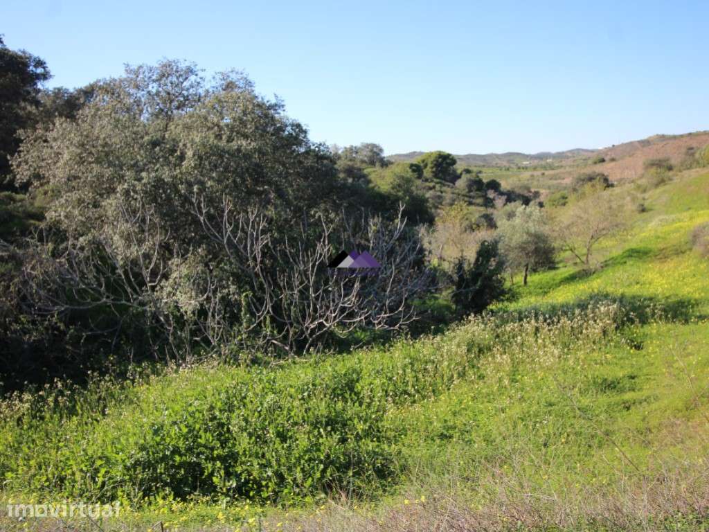 Terreno Rústico | 34.000 m² | Corga da Madeira - Junqueira, Castro ... - Grande imagem: 5/20