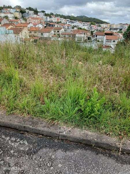 Terreno para construcao de moradia - Grande imagem: 4/4