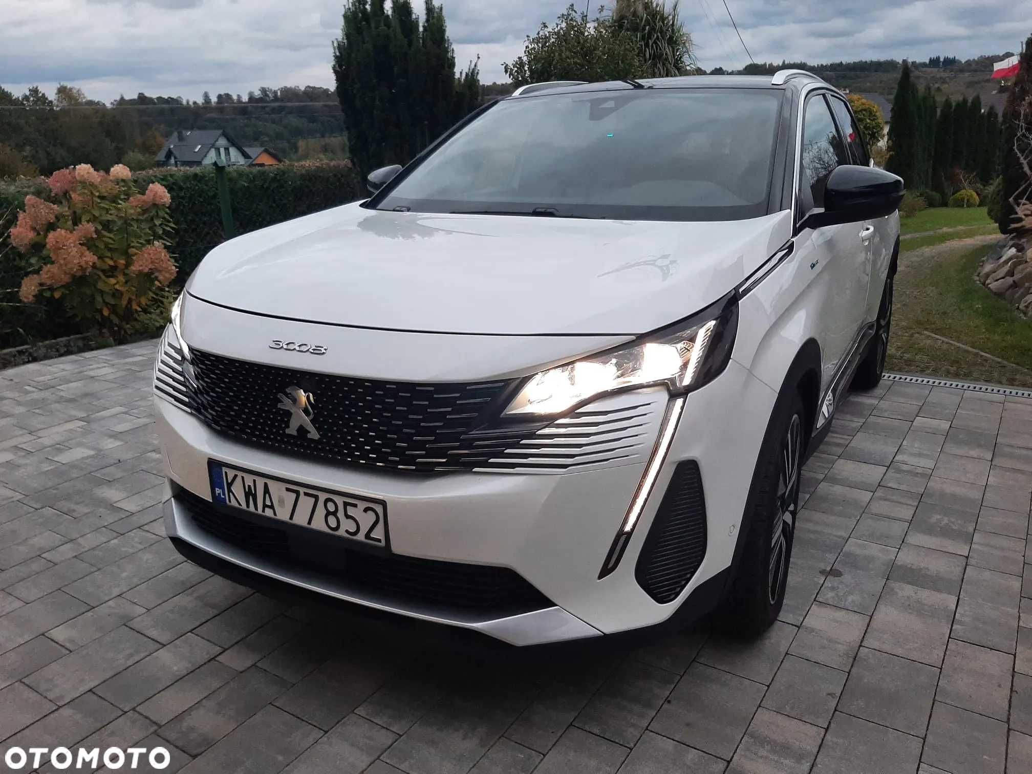 Peugeot 3008 1.6 PureTech Hybrid PHEV GT S&S EAT8 - 13
