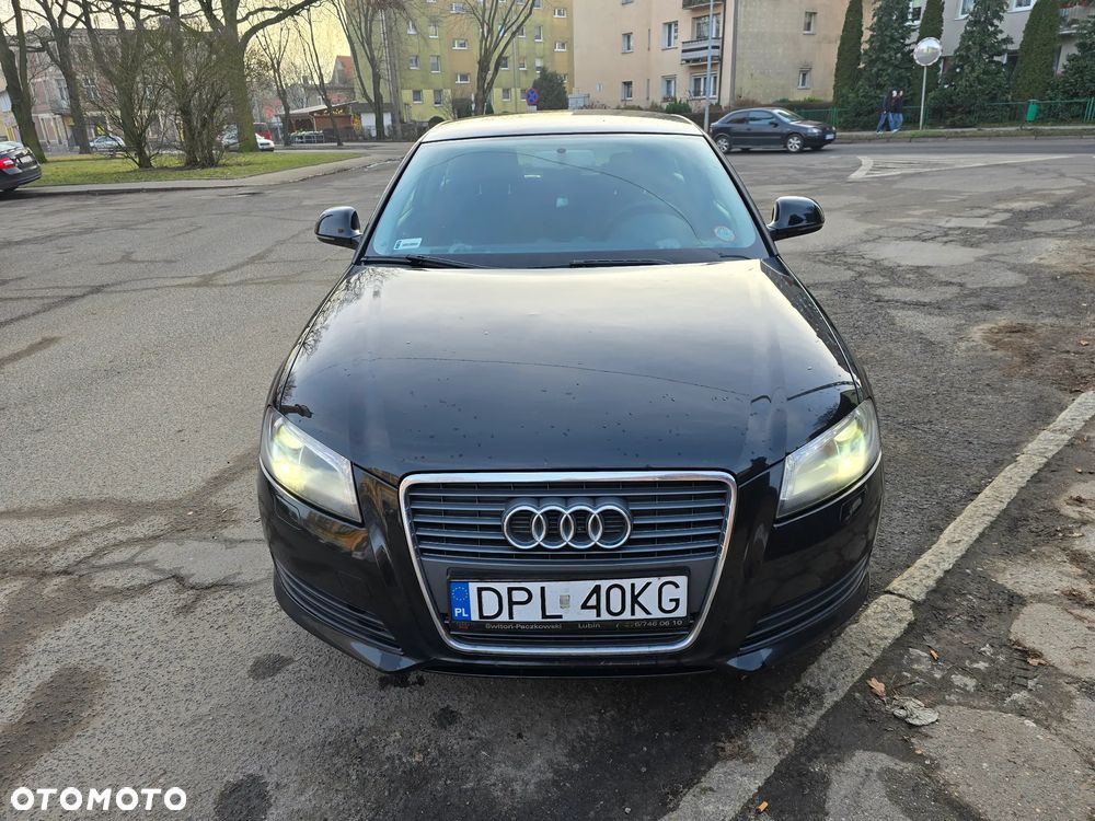 Audi A3 3-drzwiowe 1.6 Ambiente - 2
