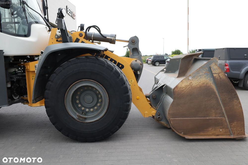 Liebherr 556 XPower - 3