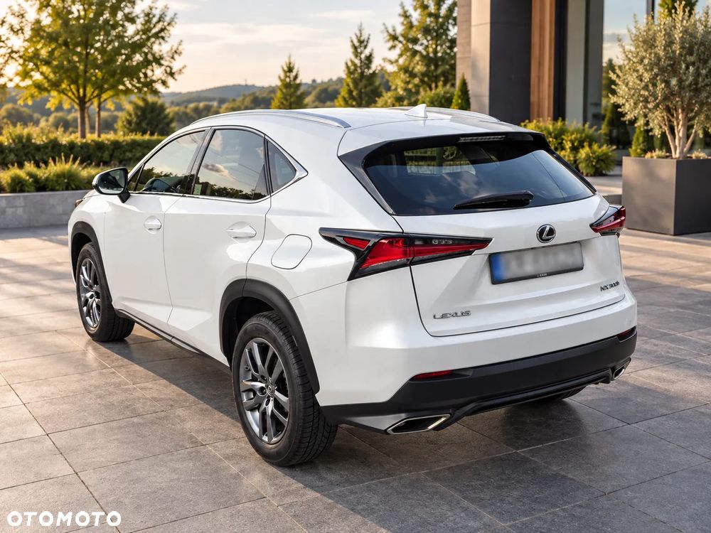 Lexus NX 300 Business Edition AWD - 10