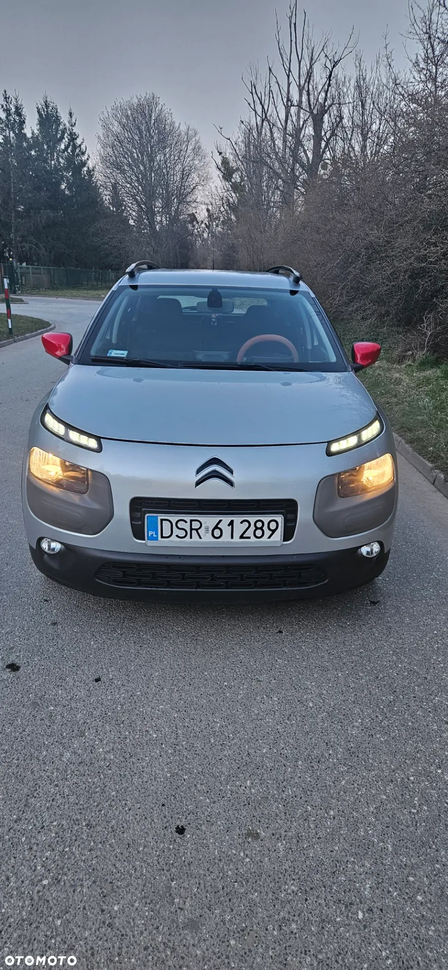 Citroën C4 Cactus - 8