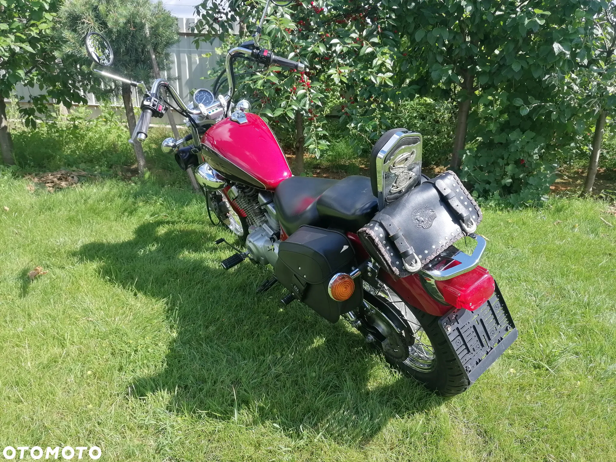Yamaha Virago - 5