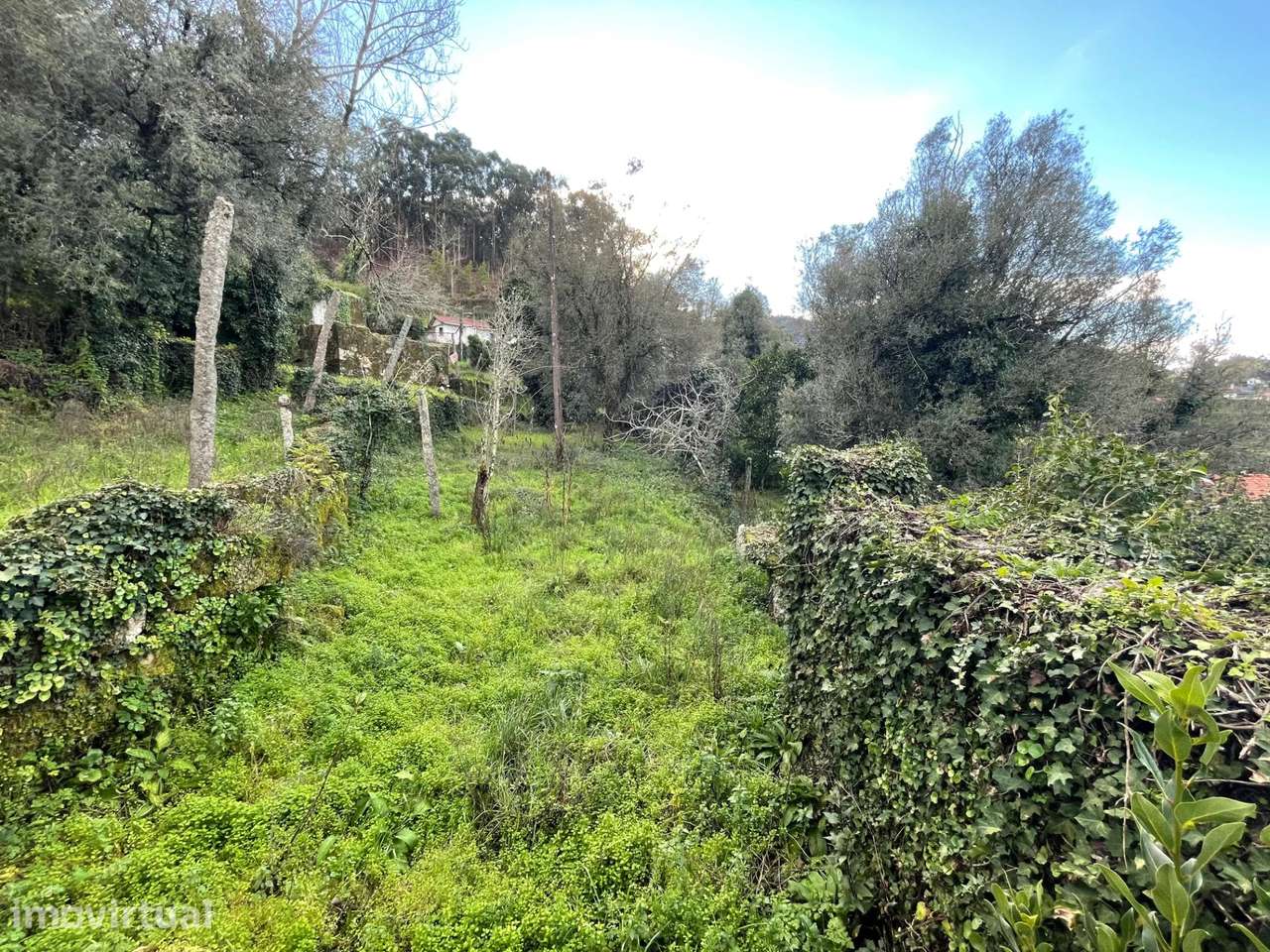 Terreno — Ponte Da Barca - Grande imagem: 5/14