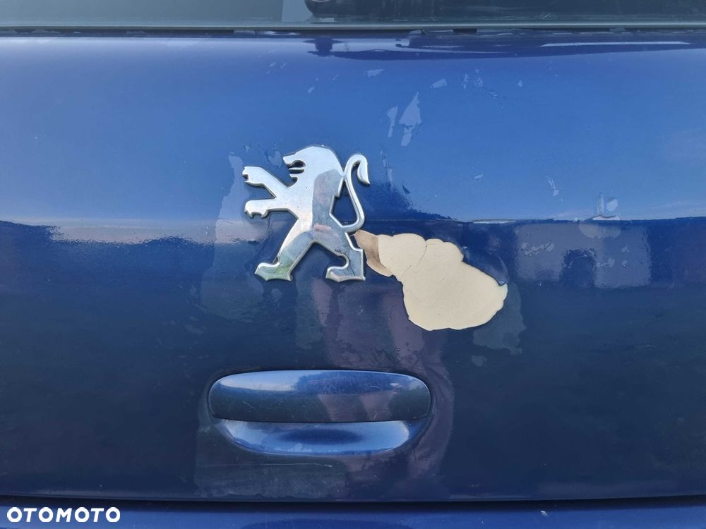 Peugeot 307 - 5