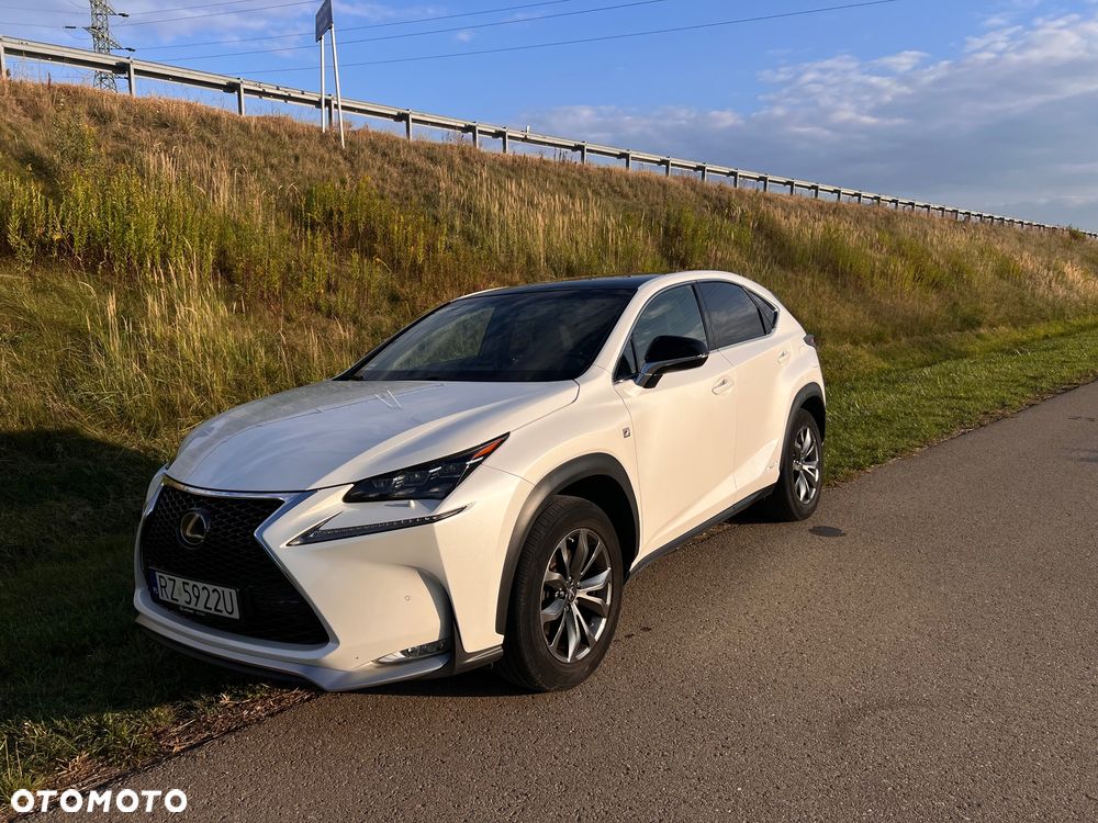 Lexus NX 300h F Sport Edition AWD - 15