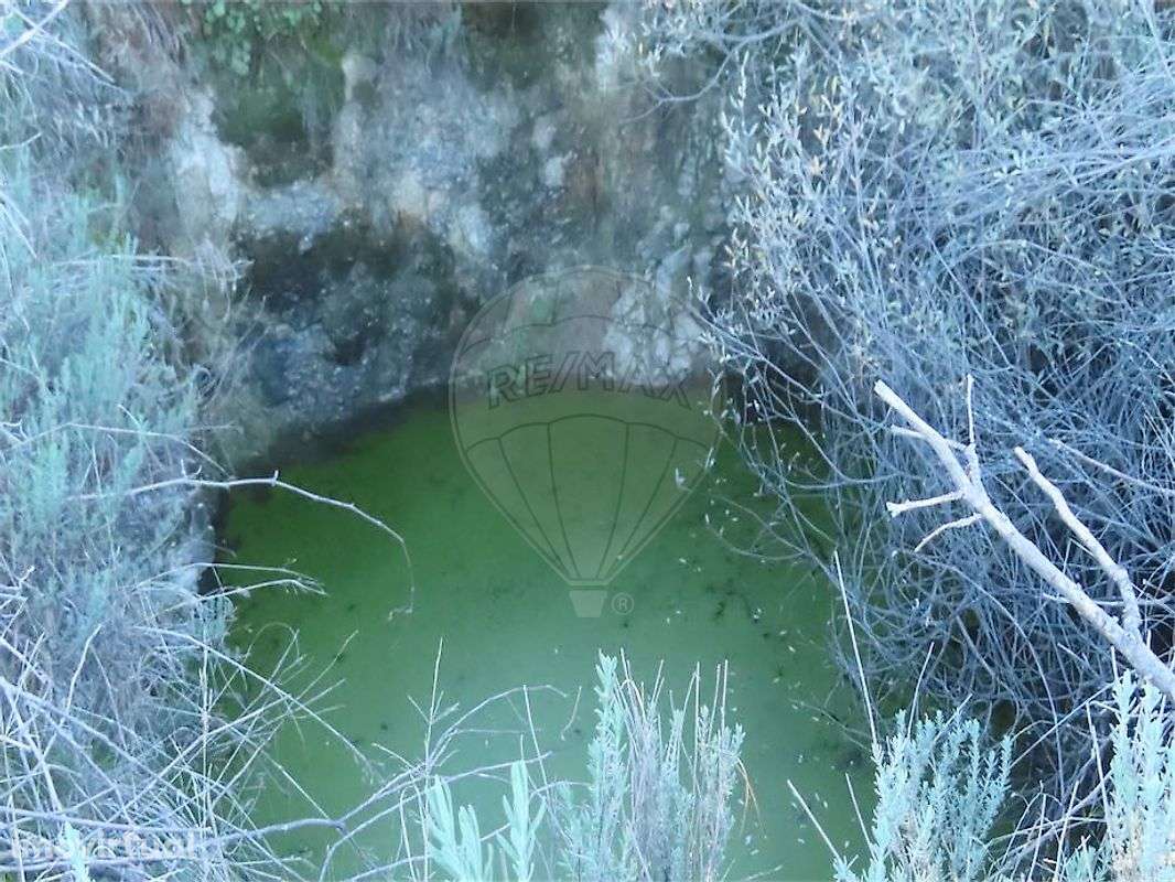 Quinta  para venda - Grande imagem: 4/32