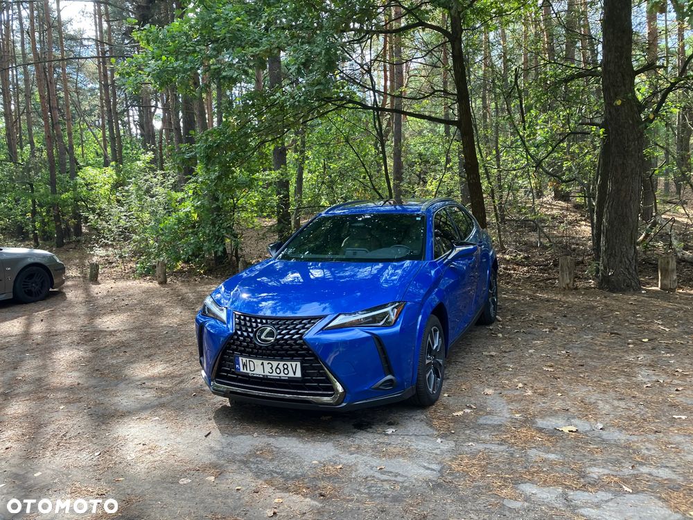 Lexus UX 300h - 14