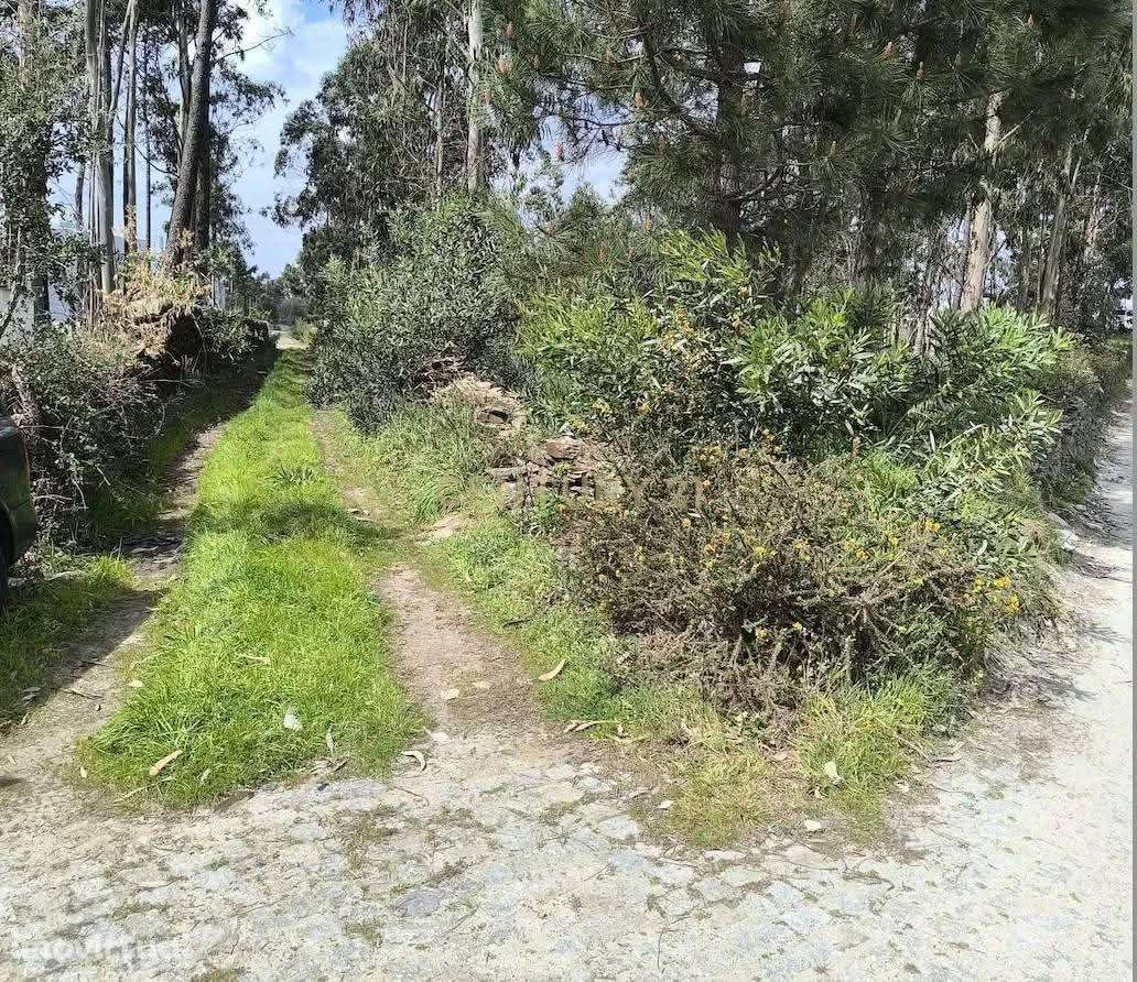 Terreno Pré-Construção em Braga, Esposende - 1750m² por 105000€ - Grande imagem: 3/6